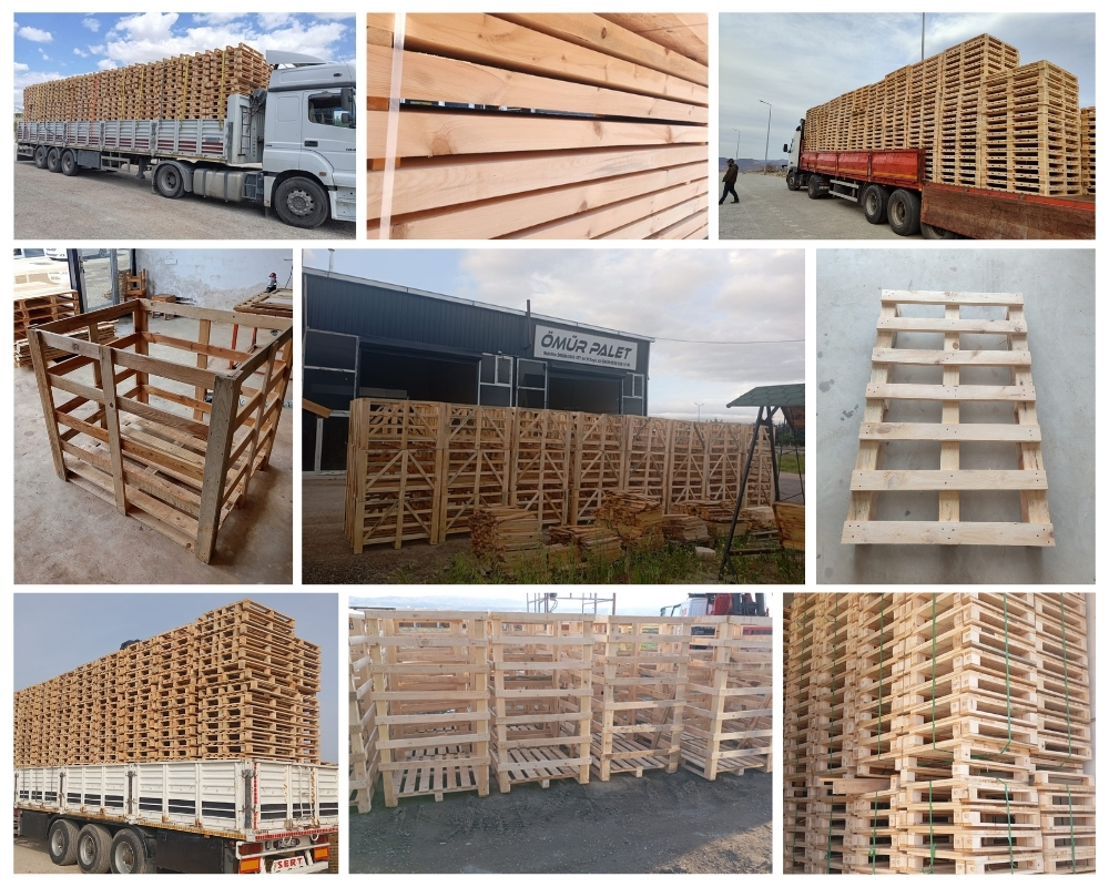 Sittard Houten Kisten, Europallets Groothandel Kopen